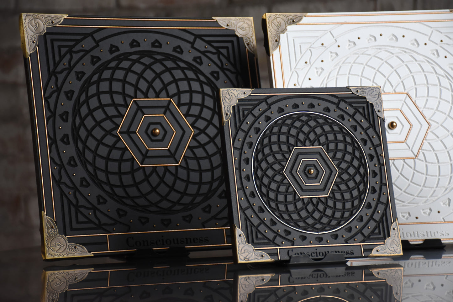 Spiral of Consciousness