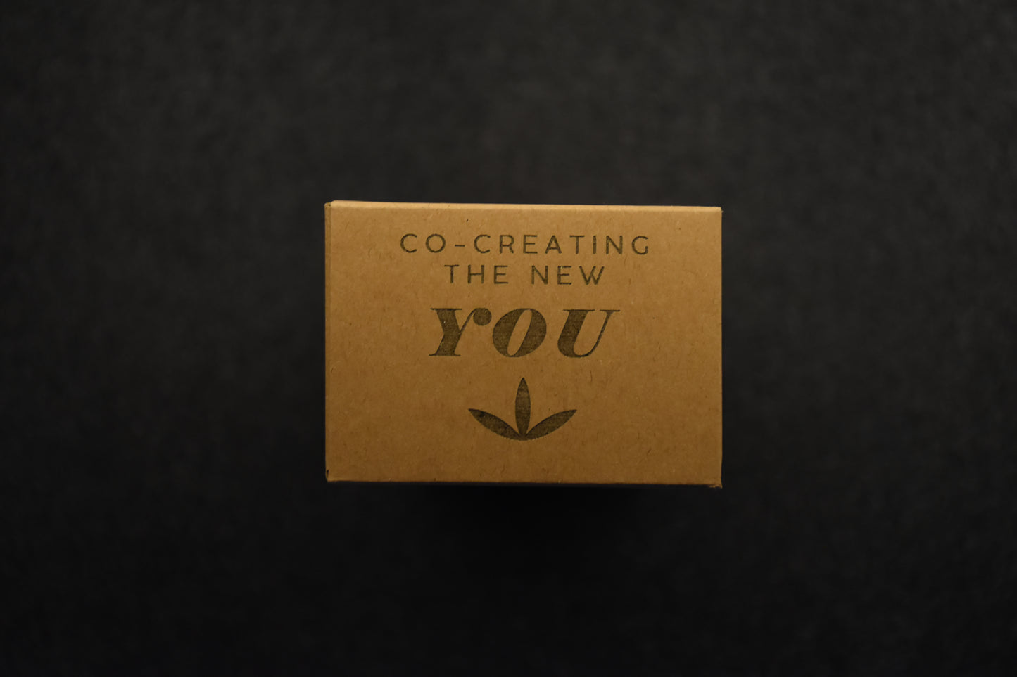 Cread⊙rus-Yoga/Meditation Weekly Module - Pre Order